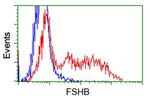 FSHB Antibody in Flow Cytometry (Flow)