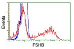 FSHB Antibody in Flow Cytometry (Flow)