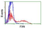 FXN Antibody in Flow Cytometry (Flow)