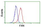 FXN Antibody in Flow Cytometry (Flow)