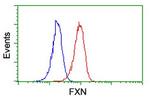 FXN Antibody in Flow Cytometry (Flow)