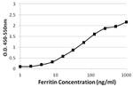 Ferritin Antibody in ELISA (ELISA)