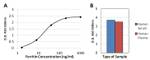 Ferritin Antibody in ELISA (ELISA)