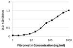 Fibronectin Antibody in ELISA (ELISA)