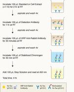 Human Tau (Phospho) [pT231] ELISA Kit