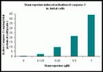 Human Caspase 3 (Cleaved) ELISA Kit