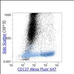 CD137 Antibody in Flow Cytometry (Flow)