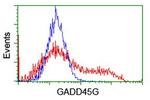 GADD45G Antibody in Flow Cytometry (Flow)