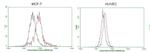 GATA3 Antibody in Flow Cytometry (Flow)