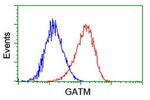 GATM Antibody in Flow Cytometry (Flow)