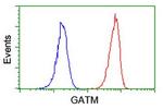 GATM Antibody in Flow Cytometry (Flow)