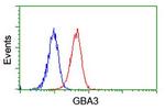 GBA3 Antibody in Flow Cytometry (Flow)