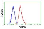 GBA3 Antibody in Flow Cytometry (Flow)