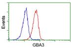 GBA3 Antibody in Flow Cytometry (Flow)