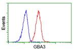 GBA3 Antibody in Flow Cytometry (Flow)