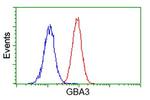 GBA3 Antibody in Flow Cytometry (Flow)