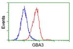 GBA3 Antibody in Flow Cytometry (Flow)