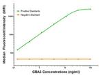 GBA3 Antibody in Luminex (LUM)