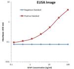 GFAP Antibody in ELISA (ELISA)