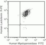 Myeloperoxidase Antibody in Flow Cytometry (Flow)