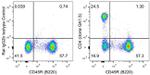 CD4 Antibody