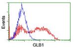 GLB1 Antibody in Flow Cytometry (Flow)