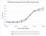 PeproGMP® Human EGF Protein in Functional Assay (Functional)