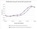 PeproGMP® Human EGF Protein in Functional Assay (Functional)