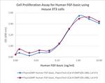 PeproGMP® Human FGF-basic (FGF-2/bFGF) Protein in Functional Assay (Functional)