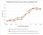 PeproGMP® Human FGF-7 (KGF) Protein in Functional Assay (FN)