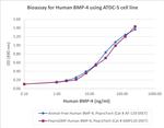 PeproGMP® Human BMP-4 Protein in Functional Assay (Functional)