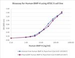PeproGMP® Human BMP-4 Protein in Functional Assay (FN)