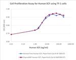 PeproGMP® Human SCF Protein in Functional Assay (FN)