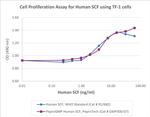 PeproGMP® Human SCF Protein in Functional Assay (FN)