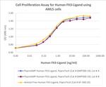 PeproGMP® Human Flt-3 Ligand (FLT3L) Protein in Functional Assay (FN)