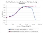 PeproGMP® Human Flt-3 Ligand (FLT3L) Protein in Functional Assay (FN)