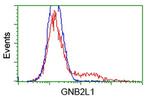 GNB2L1 Antibody in Flow Cytometry (Flow)