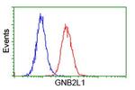 GNB2L1 Antibody in Flow Cytometry (Flow)