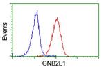 GNB2L1 Antibody in Flow Cytometry (Flow)
