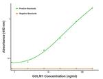 GOLM1 Antibody in ELISA (ELISA)