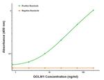 GOLM1 Antibody in ELISA (ELISA)