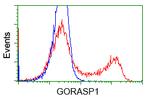 GORASP1 Antibody in Flow Cytometry (Flow)