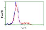 GPI Antibody in Flow Cytometry (Flow)