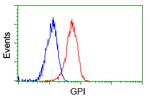 GPI Antibody in Flow Cytometry (Flow)