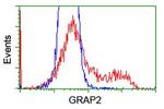 GRAP2 Antibody in Flow Cytometry (Flow)