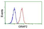 GRAP2 Antibody in Flow Cytometry (Flow)