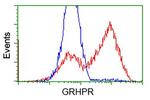 GRHPR Antibody in Flow Cytometry (Flow)