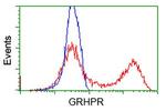 GRHPR Antibody in Flow Cytometry (Flow)