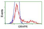 GRHPR Antibody in Flow Cytometry (Flow)