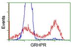 GRHPR Antibody in Flow Cytometry (Flow)